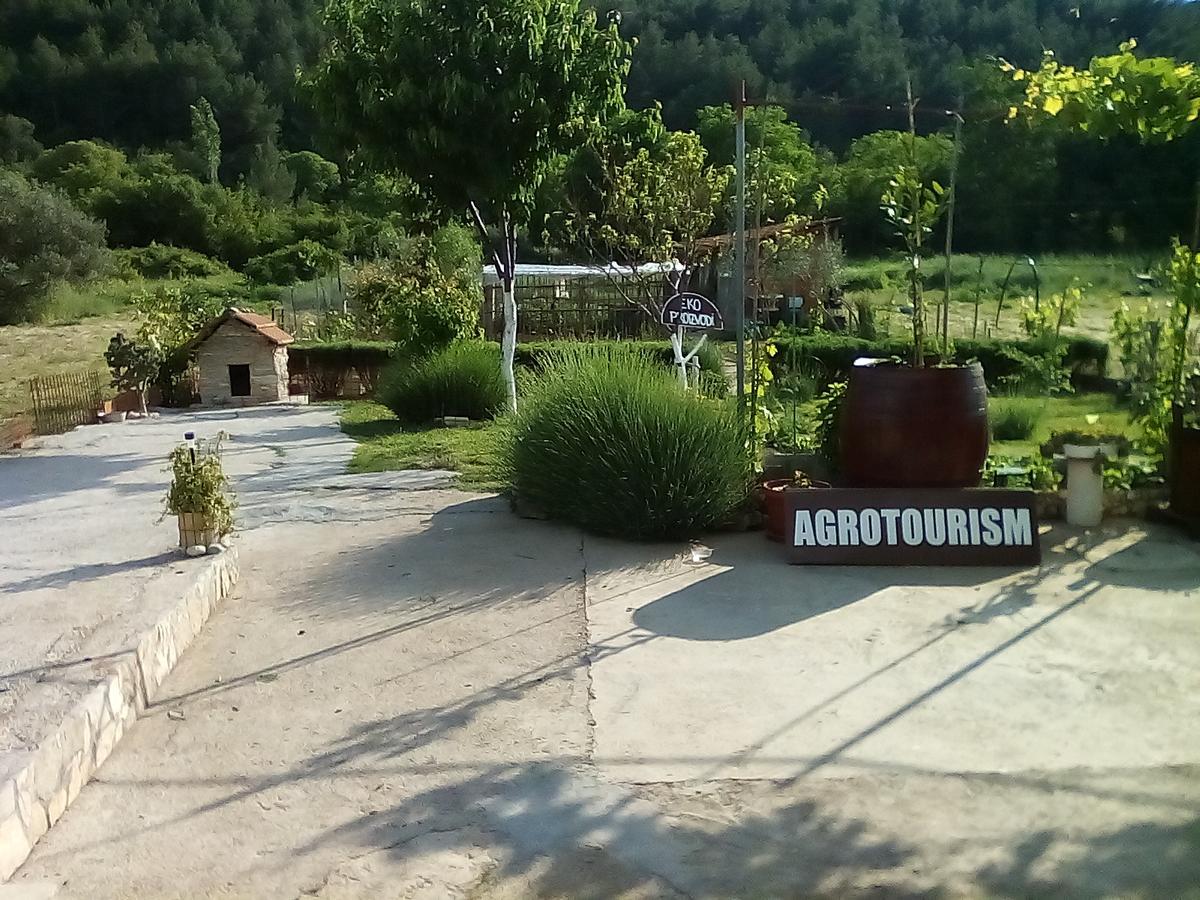 Apartman Rosa Apartment Skradin Bagian luar foto