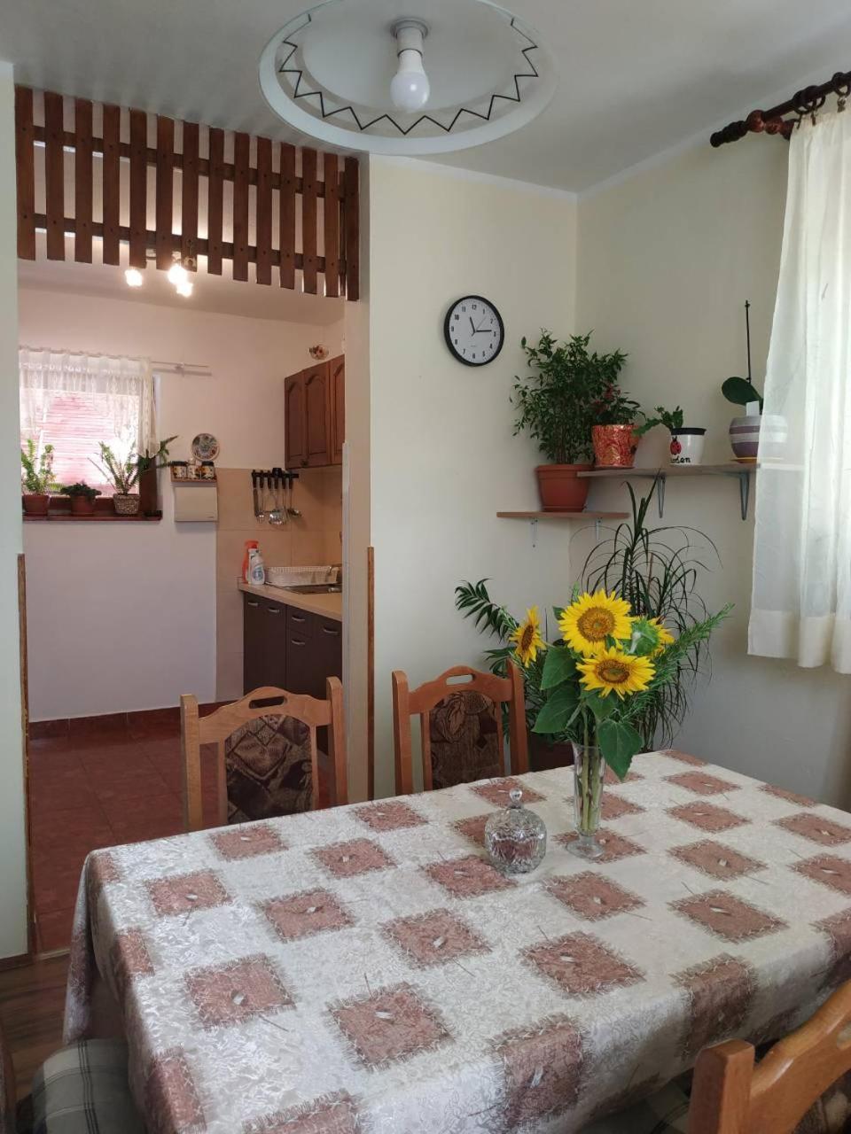 Apartman Rosa Apartment Skradin Bagian luar foto